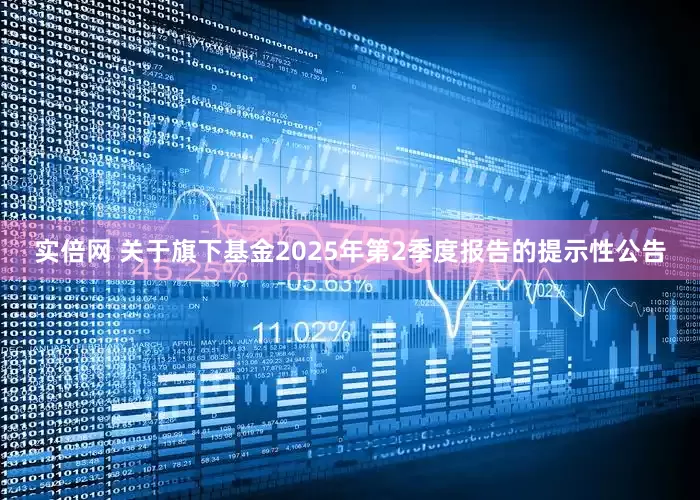 实倍网 关于旗下基金2025年第2季度报告的提示性公告