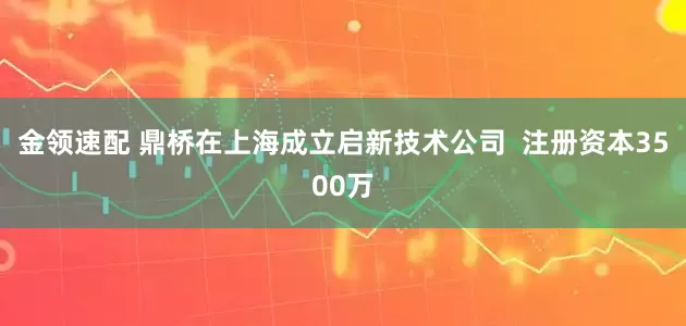 金领速配 鼎桥在上海成立启新技术公司  注册资本3500万