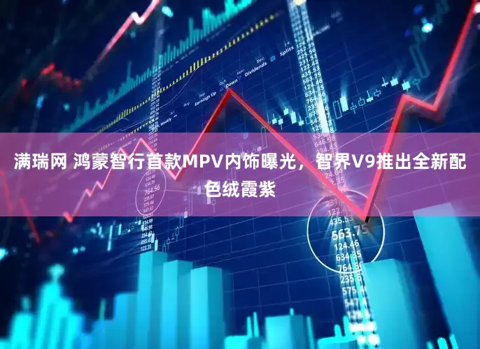 满瑞网 鸿蒙智行首款MPV内饰曝光，智界V9推出全新配色绒霞紫